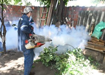 Un funcionario municipal en la minga fumiga un jardín en Santa Cruz de la Sierra. Foto: GAMSC