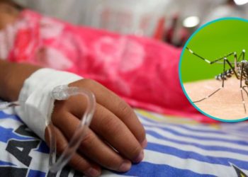 Los menores de edad son los más vulnerables al dengue. Foto: Redes Sociales