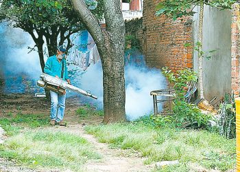 La fumigación es clave para eliminar al mosquito.