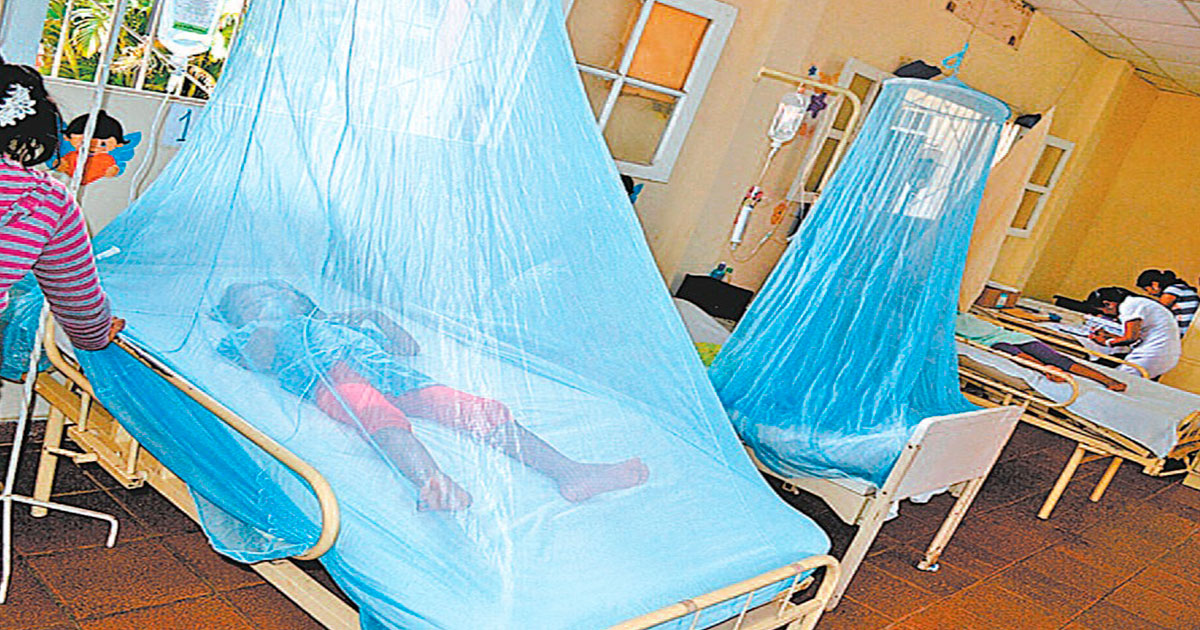 Serotipo 2 del dengue está más agresivo en niños. Foto: Archivo LR