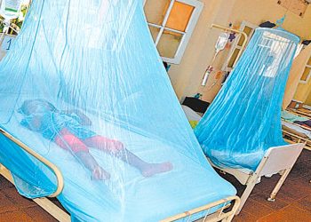 Los casos de dengue bordean los 3.000; más del 50% son menores de 18 años de edad.