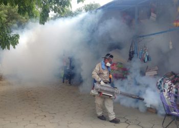 Intervien Caranavi y dan inicio con la fumigación de más de 400 manzanos. Foto: Ministerio de Salud