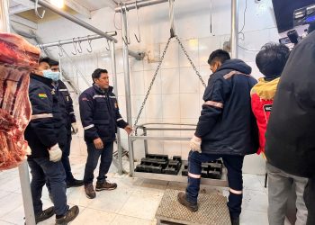 Funcionarios controlan las distribuidoras de carne. Foto: APG