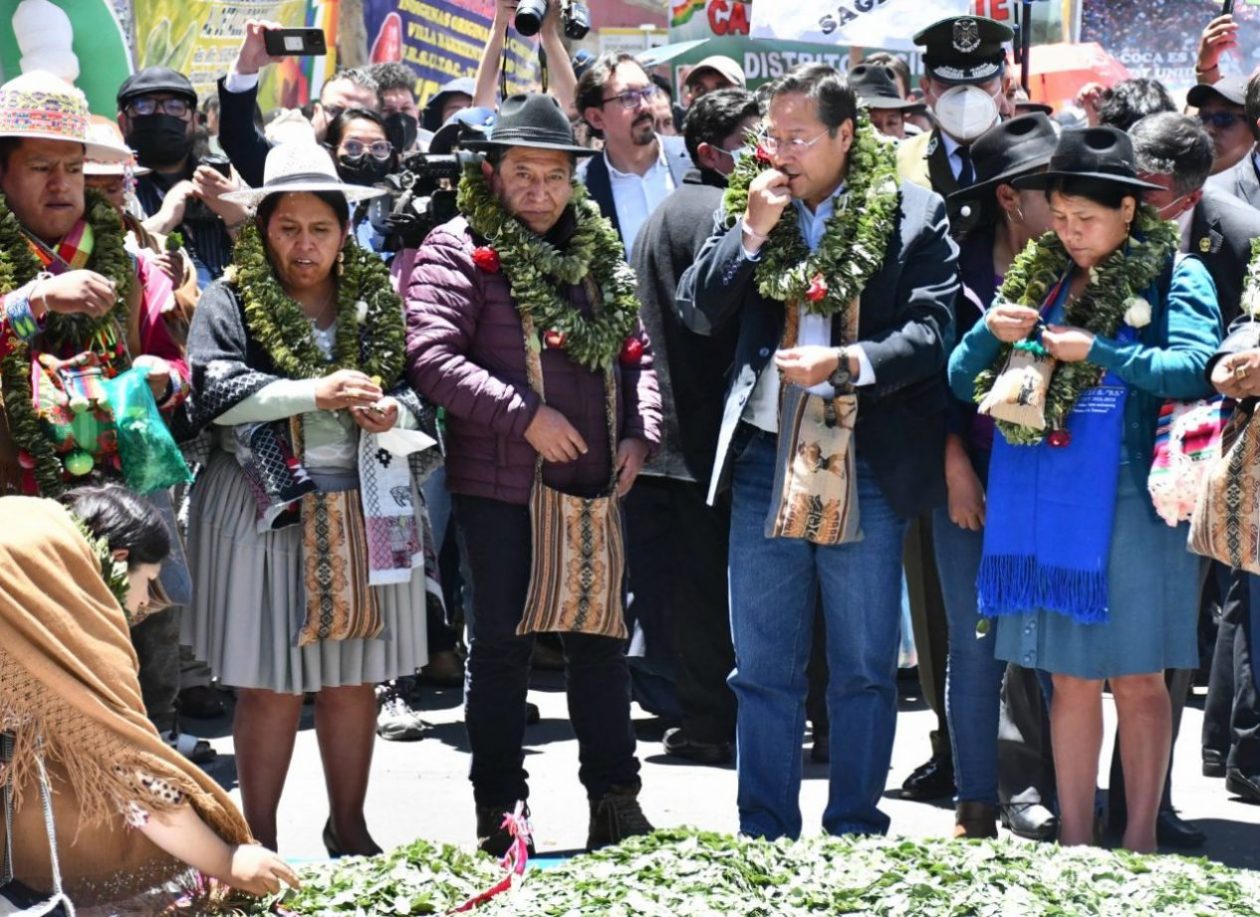 El Presidente del Estado, Luis Arce, junto a otras autoridades, acullican hojas de coca en plaza Murillo. Foto: APG.