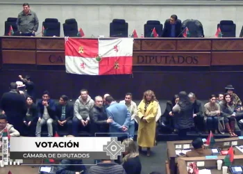 Sesión sobre contrato de litio entra en cuarto intermedio sin fecha