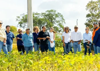 Fexpocruz impulsó una jornada técnica rumbo a Expoagro 2026