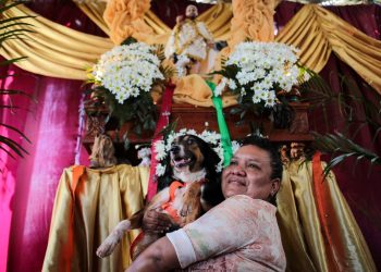 Perros de distintas razas acuden a la fiesta de San Lázaro. Foto: AFP