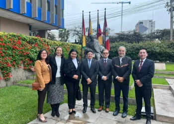 Bolivia refuerza cooperación regional contra la minería ilegal en Perú