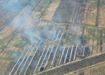 fuego_activo.jpg