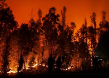 Santa Juana, la región chilena de Biobío, zona agrícola arrasada por el fuego. Foto: AFP.