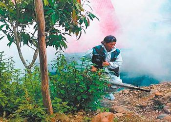 fumigacion-dengue-minga