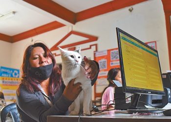Familias acudieron a las subalcaldìas para el registro.
