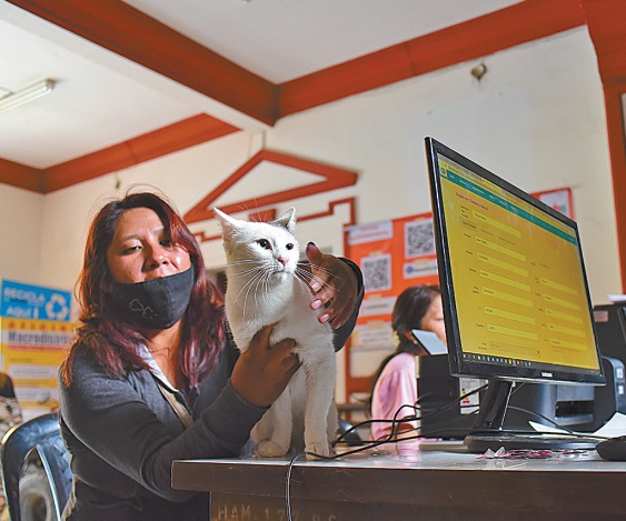 Familias acudieron a las subalcaldìas para el registro.
