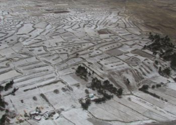 Imagen referencial. Cultivos son cubiertos por la granizada. Foto: La Razón
