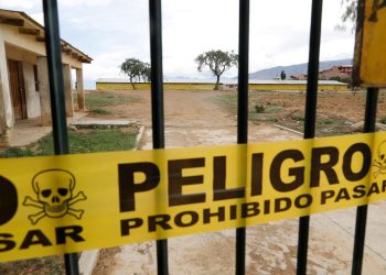 El Senasag presume que la gripe aviar se generó en aves de crianza familiar