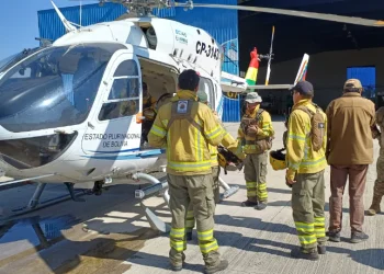 Helicóptero y brigadas combaten incendio en Parque Carrasco