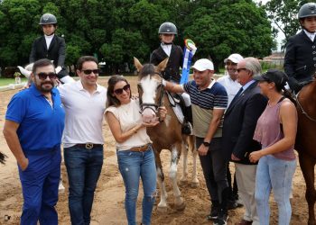 prömmel_chestnut_campeones_deportes_ecuestres