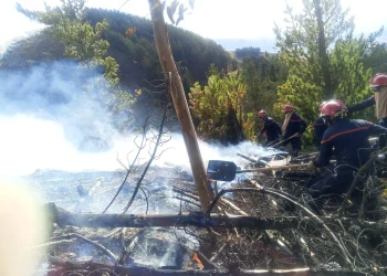 Bomberos militares sofocan incendio que arrasó 30 ha en Colomi