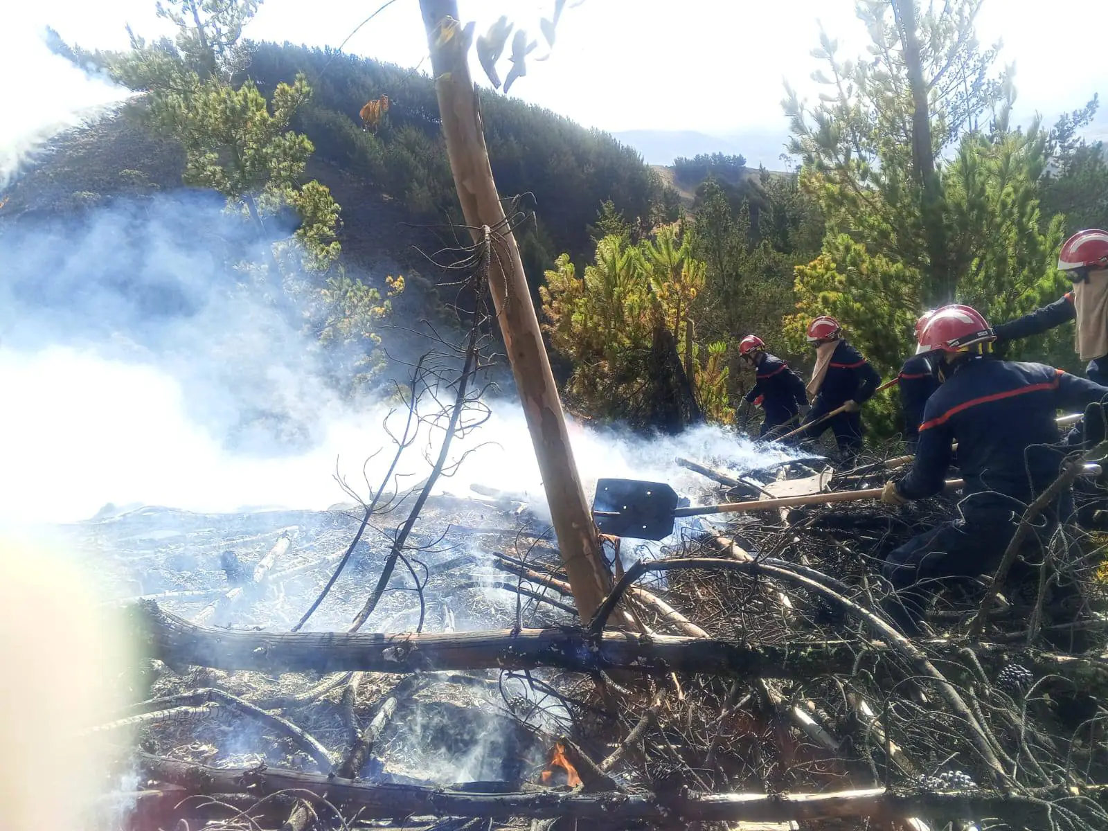 Bomberos militares sofocan incendio que arrasó 30 ha en Colomi