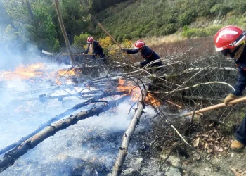 incendios.jpg
