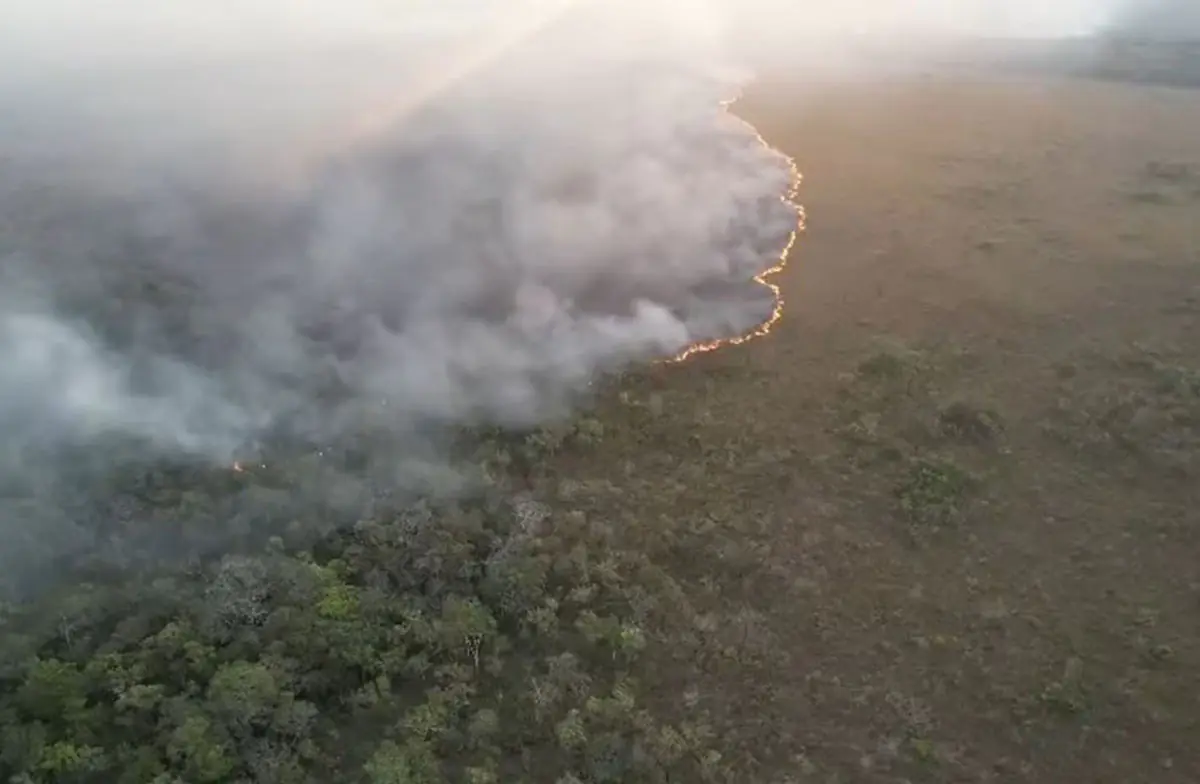 incendios.jpg