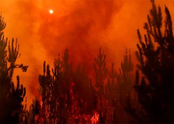 La ola de incendios ha arrasado cerca de 450.000 hectáreas y provocó que se movilizaran más de 5.000 bomberos. Foto: AFP.