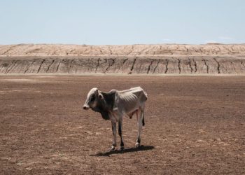 Aunque El Niño y La Niña son fenómenos naturales, se producen en un contexto de cambio climático provocado por la actividad humana que aumenta las temperaturas globales. Foto: AFP.