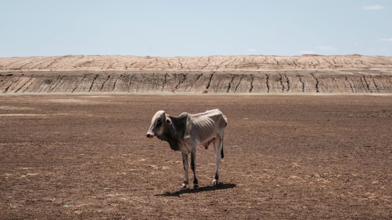 Aunque El Niño y La Niña son fenómenos naturales, se producen en un contexto de cambio climático provocado por la actividad humana que aumenta las temperaturas globales. Foto: AFP.