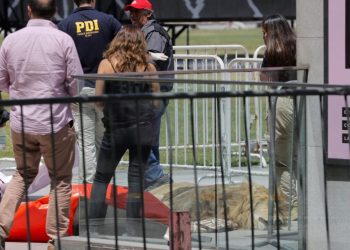 Representantes del Zoológico de Los Ángeles dejan un león muerto como protesta contra el Servicio Agrícola y Ganadero de Chile (SAG) y el gobierno frente al Palacio Presidencial La Moneda, en Santiago el 20 de enero de 2023. Foto: AFP.