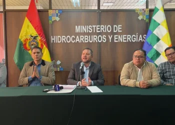 Gobierno dice que el país debe llegar a 2030 con plantas de litio