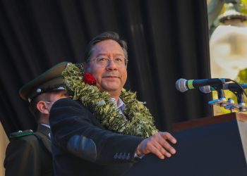 El Gobierno busca ‘desclasificar’ la coca de la lista de estupefacientes de la ONU