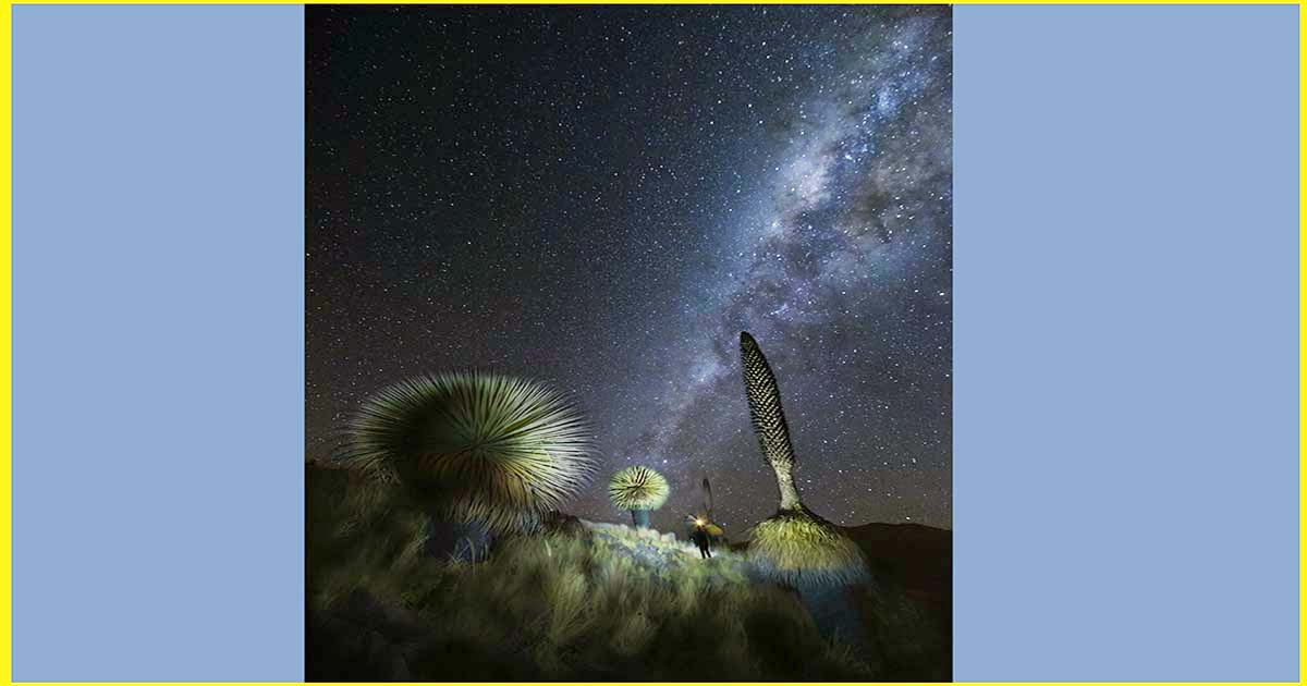 El Trayecto que dibuja la Luz