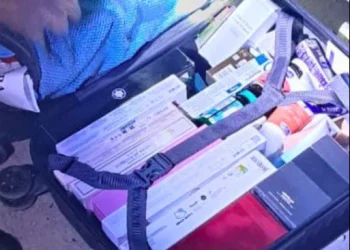 Incautan medicamentos veterinarios de contrabando en Yacuses