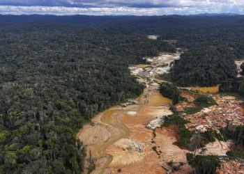 Minería ilegal de Brasil