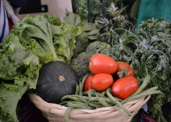 Gobierno invita a la feria del campo a la olla. Foto: MDRyT