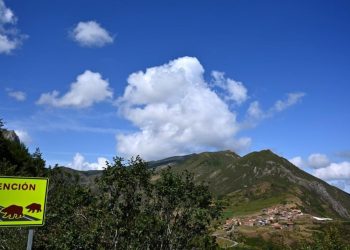 Una señal alerta de la presencia de osos pardos en el Parque Natural de Somiedo, en la comunidad autónoma española de Asturias. Foto: AFP.