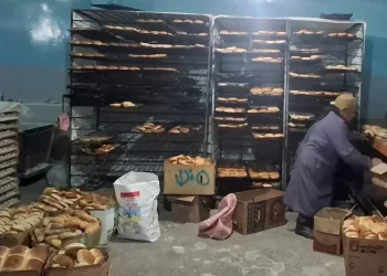 panificadores