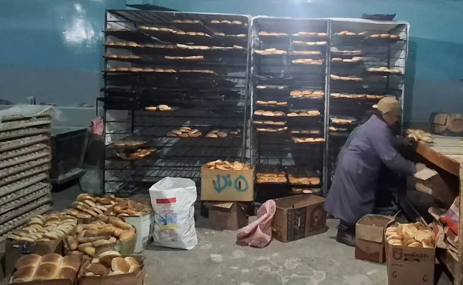 panificadores