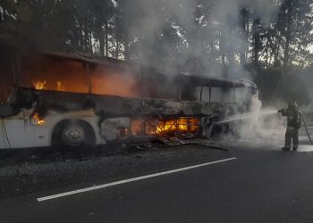 La decisión del Gobierno llega después de que autobuses que forman parte del corredor humanitario para transportar a migrantes de la frontera este a la oeste de Panamá sufrieran dos incidentes en los últimos diez días. Foto: AFP.