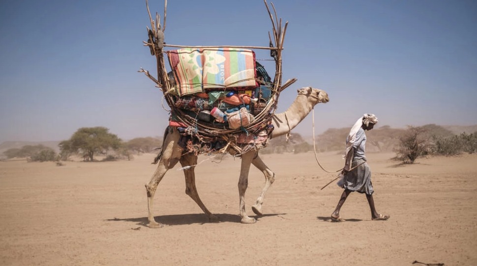 Los pastores aguardan por lluvias en la región Somali de Etiopía. Foto: AFP