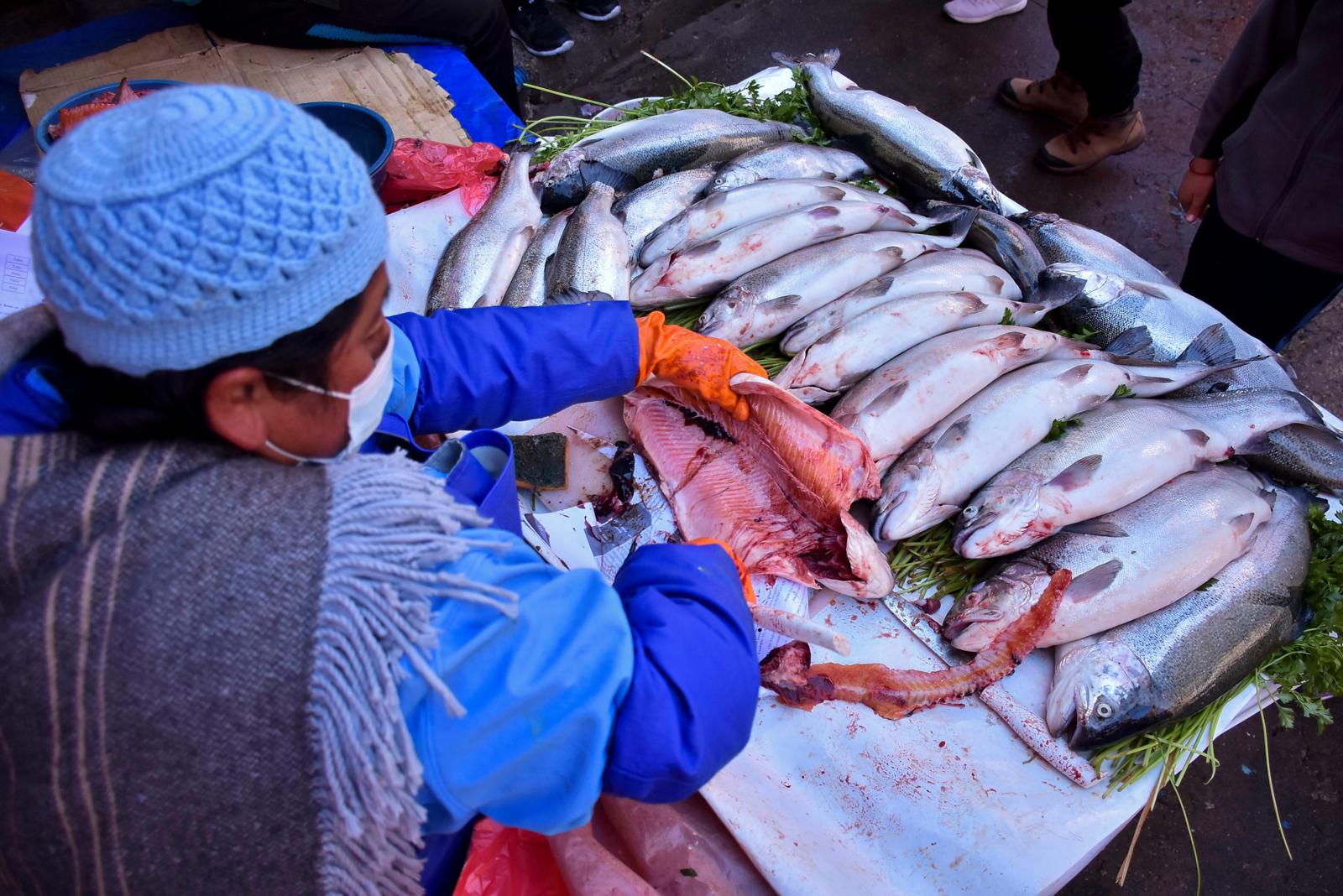 El olor del pescado debe ser un aroma a las algas marinas. Foto: APG Archivo