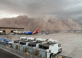 phoenix.jpg