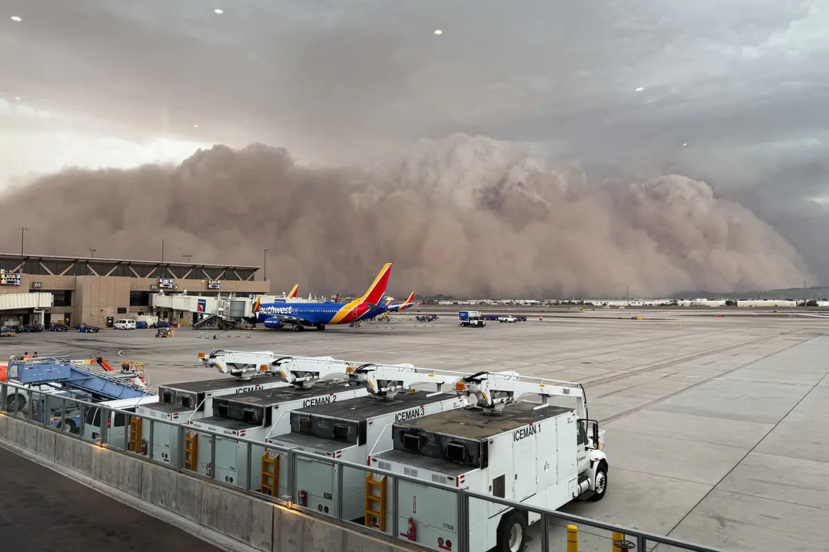 phoenix.jpg