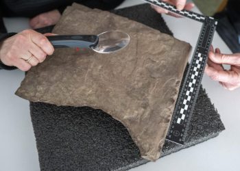 Un arqueólogo examina la piedra rúnica más antigua del mundo, el 17 de enero de 2023 en Oslo. Foto: AFP.
