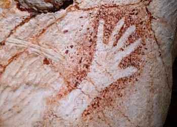 Parte de las pinturas rupestres descubiertas en Francia. Foto: Getty Images.