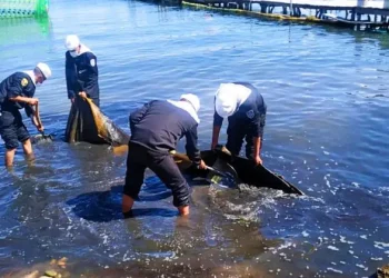 Gobierno lanza campaña nacional de limpieza de playas