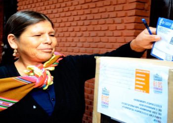 Elecciones primarias de enero de 2019; en lo principal fueron votaciones ratificatorias de un solo binomio, en todos los partidos