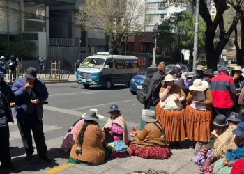 Productores lecheros de Omasuyos exigen a EBA pago de Bs 2 millones