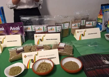 catálogo