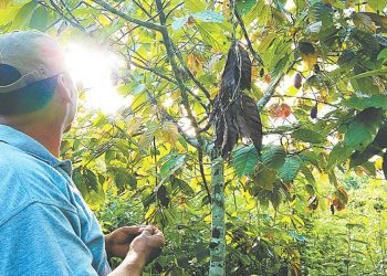 Naturaleza ‘blindada’: Nace una nueva área protegida en Alto Beni